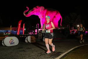 BIB: 
                            <button type="button" onclick="openModal(26534705)" class="btn btn-primary btn-sm float-right btn-popup" data-toggle="modal" data-target=".modal-high-quality">
                        <i class="fas fa-shopping-cart"></i> Add to Cart
                    </button>
                                            <button type="button" onclick="isThisMe(26534705, true)" class="btn btn-success btn-sm float-right btn-popup btn-isme hidden" data-toggle="tooltip" data-placement="bottom" title="นี่คือรูปของคุณใช่ไหม คลิกที่นี่เพื่อเอาเข้าอัลบั้ม">
                        <i class="fas fa-plus"></i> Add to album
                    </button>
                    <button type="button" onclick="isThisMe(26534705, false)" class="btn btn-warning btn-sm float-right btn-popup btn-isnotme hidden">
                        <i class="fas fa-ban"></i> Remove from album
                    </button>